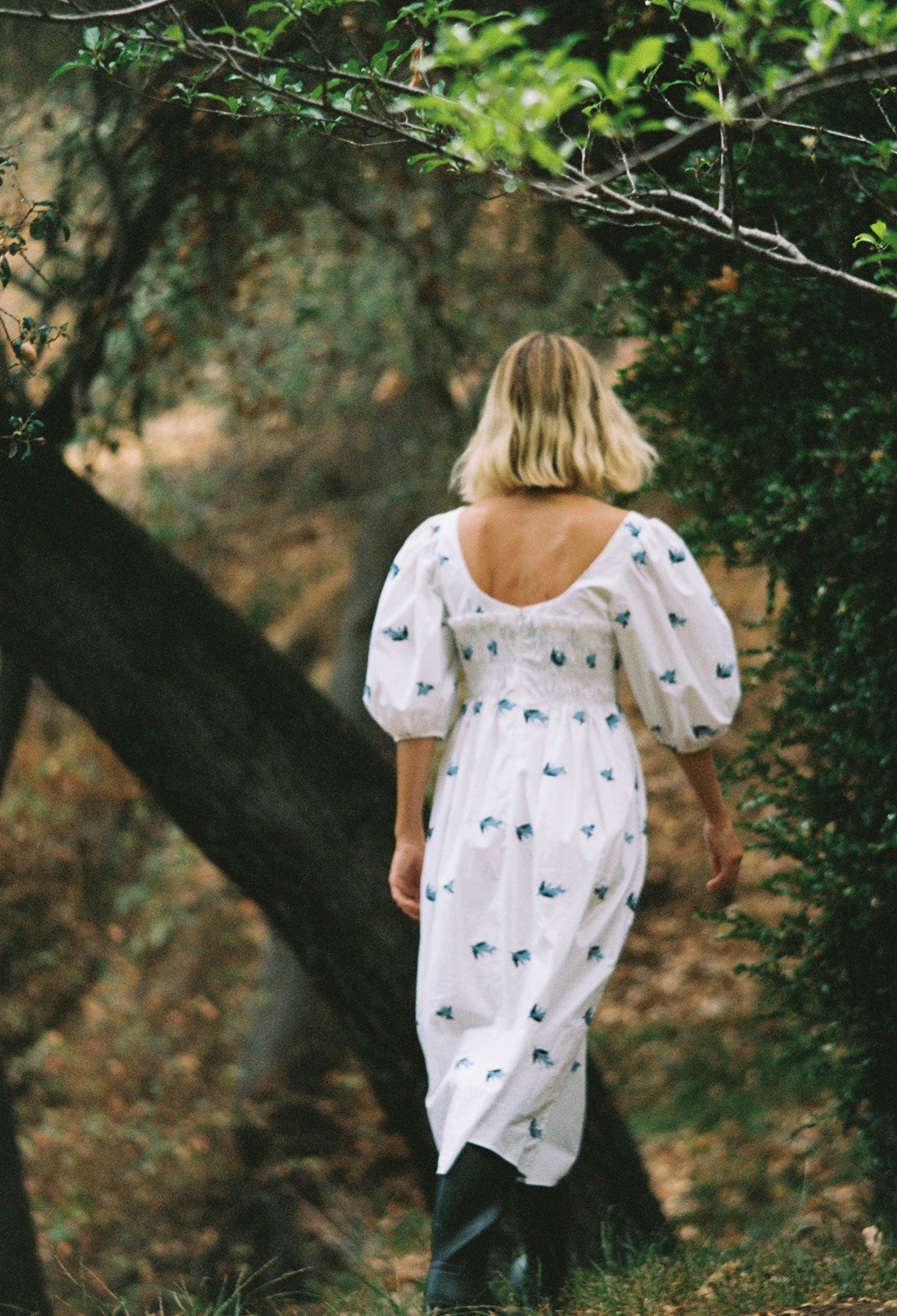 Veneto Dress Cornflower - Image 6